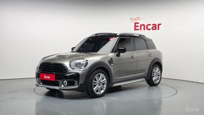 Mini countryman