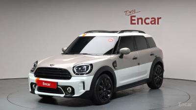 Mini countryman