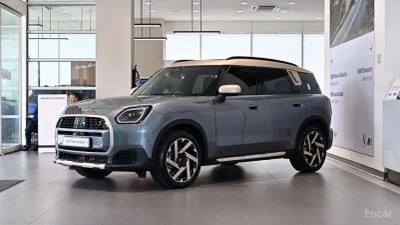 Mini countryman