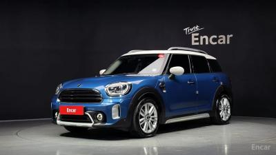Mini countryman