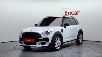 Mini countryman