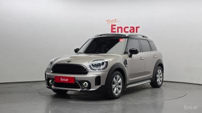 Mini countryman