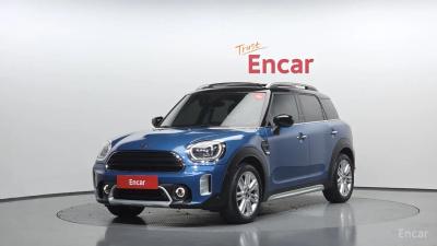 Mini countryman