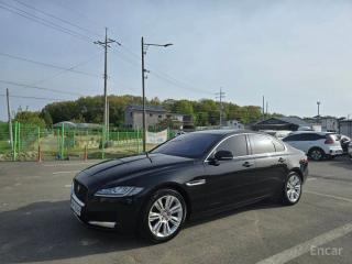 Jaguar xf