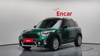 Mini countryman