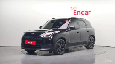 Mini countryman