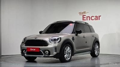Mini countryman