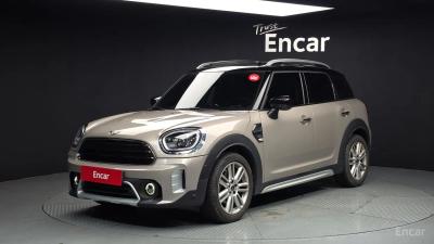 Mini countryman