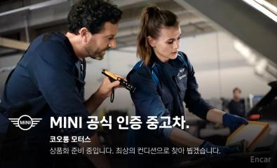 Mini countryman