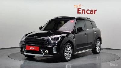 Mini countryman