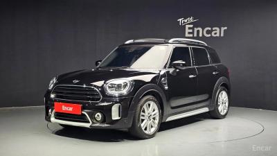 Mini countryman