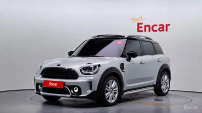 Mini countryman