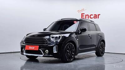 Mini countryman