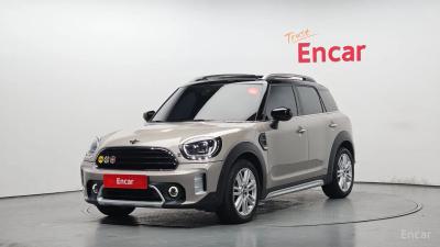 Mini countryman