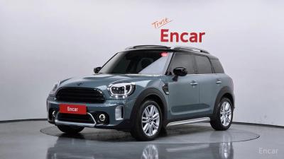 Mini countryman