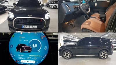 Mini countryman