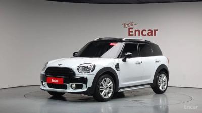 Mini countryman