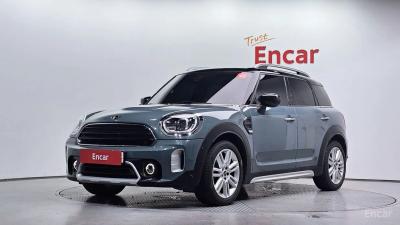 Mini countryman