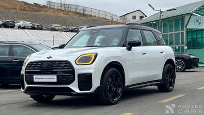 Mini countryman