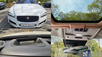 Jaguar xf