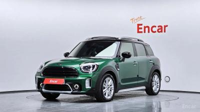 Mini countryman