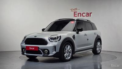 Mini countryman