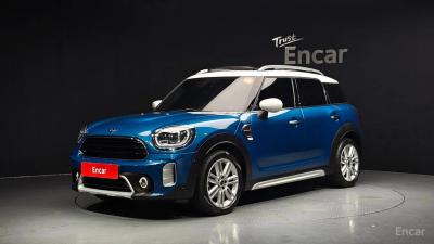 Mini countryman