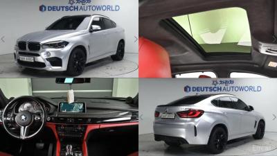 Bmw X6M