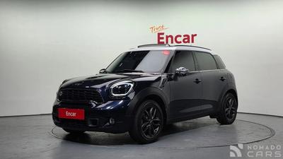 Mini countryman