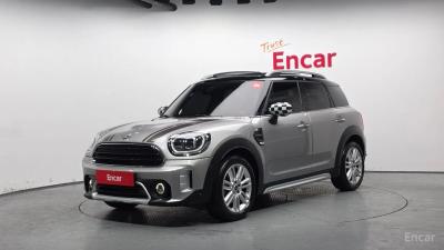 Mini countryman