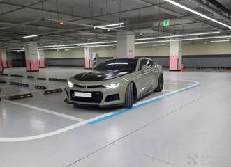 ChevroletGMDaewoo Camaro