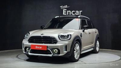 Mini countryman