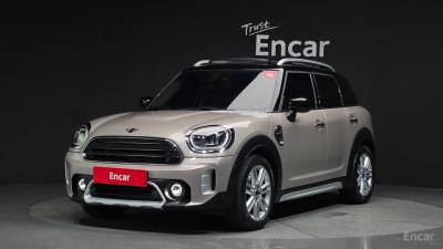 Mini countryman
