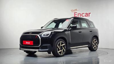 Mini countryman
