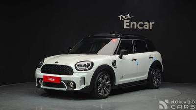 Mini countryman