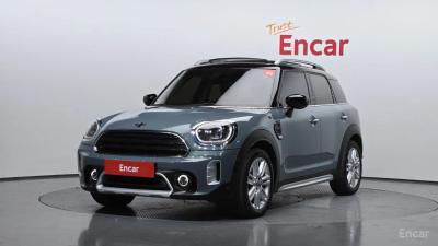 Mini countryman