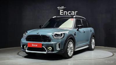 Mini countryman