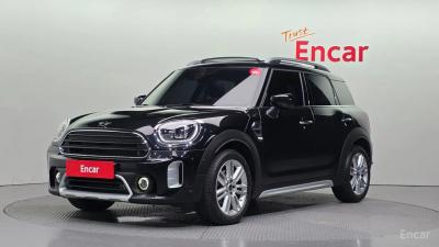 Mini countryman