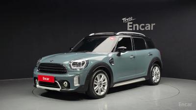 Mini countryman