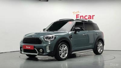 Mini countryman