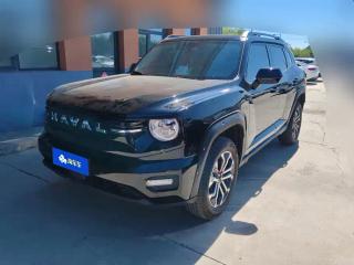 Haval bigdog