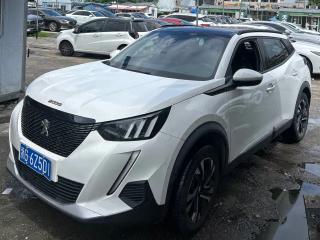 Peugeot peugeot-2008
