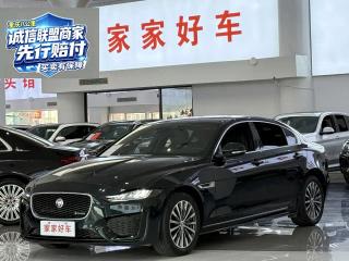 Jaguar xel
