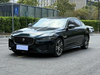 Jaguar xel