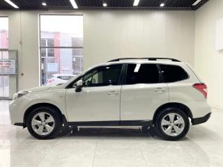 forester forester