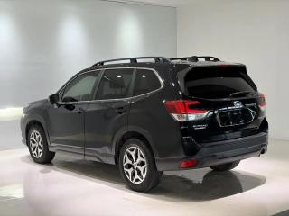 forester forester