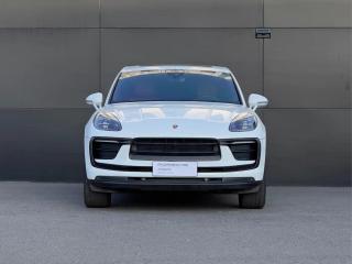 macan macan