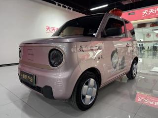 xingyuan pandamini