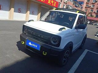 xingyuan panda