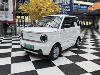 xingyuan panda